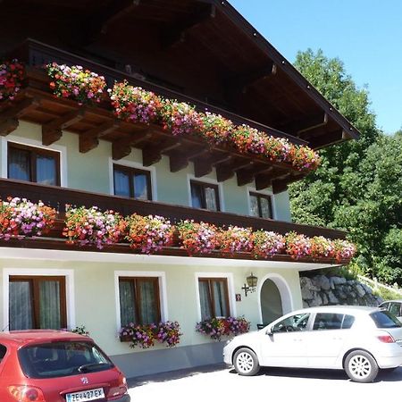 Haus Rieder Georg Lägenhet Maria Alm am Steinernen Meer Exteriör bild