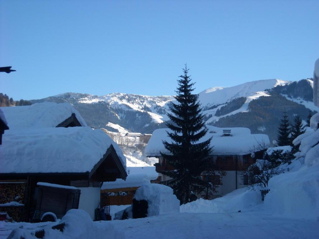 Haus Rieder Georg Lägenhet Maria Alm am Steinernen Meer Exteriör bild